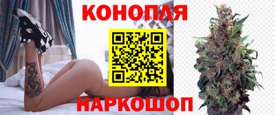 стаф Краснознаменск